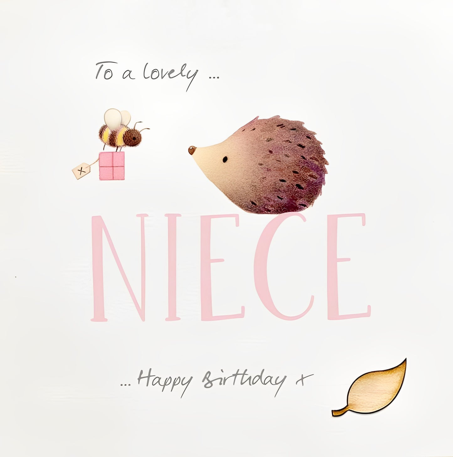 Hedgehog Lovely Niece Birthday Card