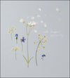 Cow Parsley Petals Card