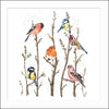 British Garden Card