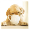 Coffee Time Card