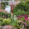 Mottisfont Card