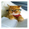 Bookworm Card
