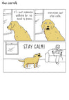 Stay Calm Card