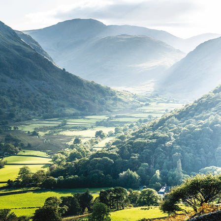 Thorneythwaite Farm, Borrowdale, Cumbria Card