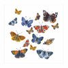 Butterflies Card