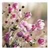 Lady Farm, Somerset Card
