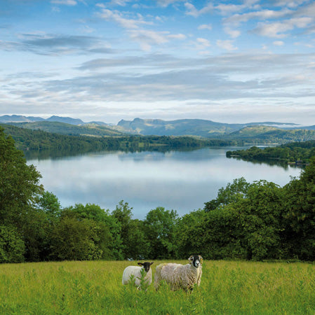 Wray Castle From Across Lake Windermere Card