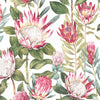 King Protea Card