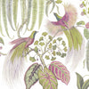 Bird Of Paradise Card