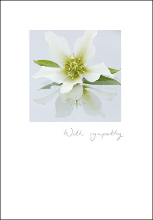 White Flower Sympathy Card