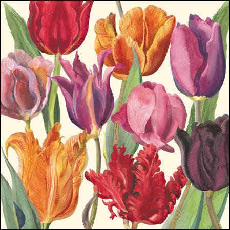 Tulips Card