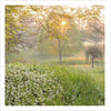 Forde Abbey Card