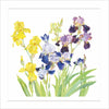 Irises Card
