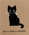 Black Cat Being Hugged Birthday Card