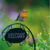 European Robin Card