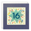 16th Star Shakies Card