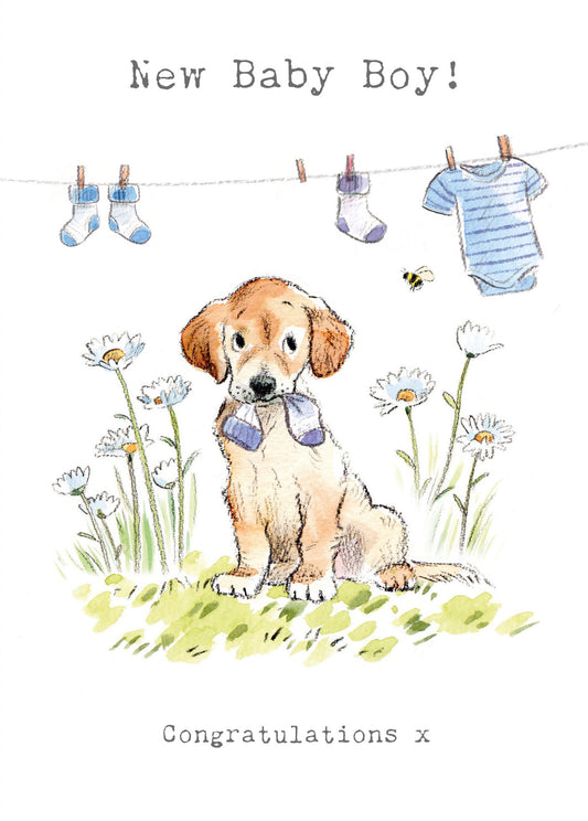 Labrador With Blue Clothes Baby Boy Card