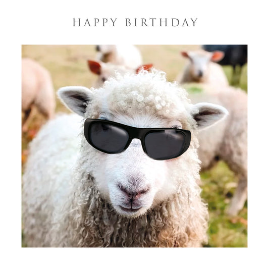 Sheep In Shades Birthday Card