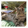 Lazy Days Card