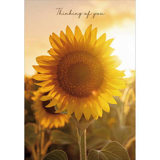 Brighter Days Ahead Card