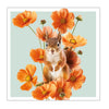 Red Squirrel And Cosmos Photographic Card