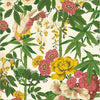 Bamboo & Bird Card