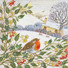 Robin In Snow Garden Christmas Card