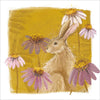 Mad As A Hare Card