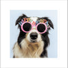 Party Pup Card