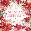 Poinsettia Border Christmas Card
