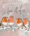 From All The Robins Christmas Card