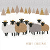Sheep Christmas Card