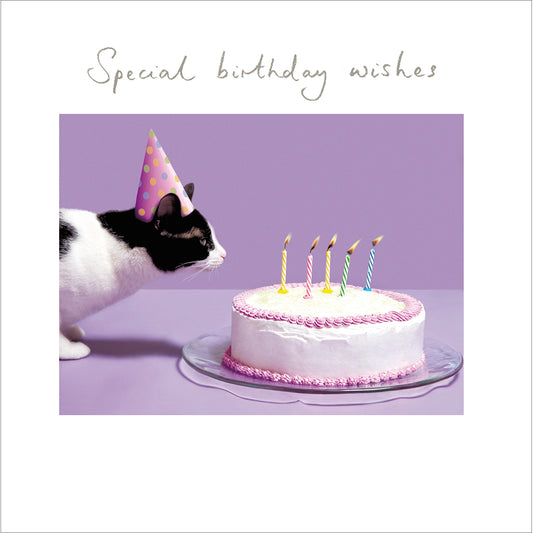 Special Birthday Wishes Card