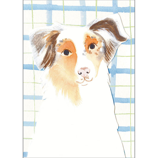 Australian Shepherd Card