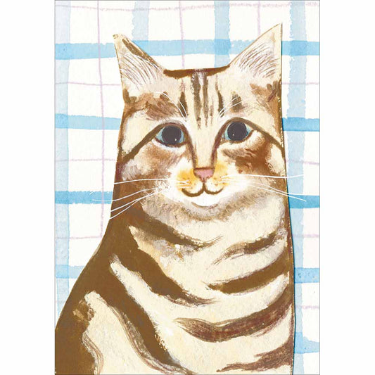 Tabby Cat Card