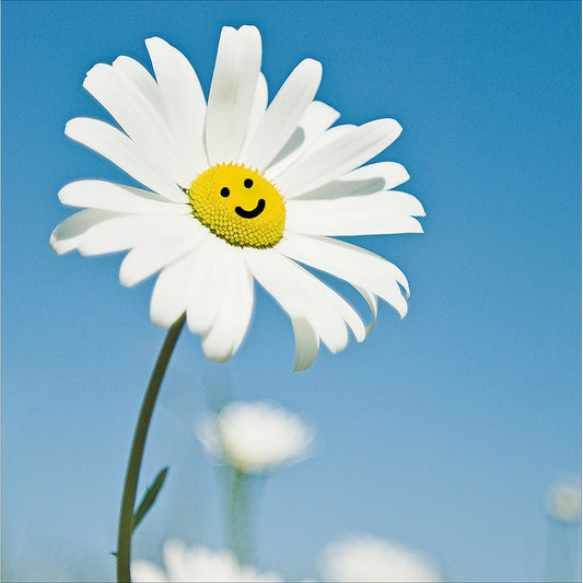 Oops A Daisy Card