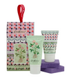 Roots & Raindrops The Flower House Gift Set