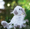 Wrendale Rosie Rabbit Plush