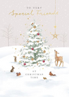 'To Very Special Friends' Christmas Card