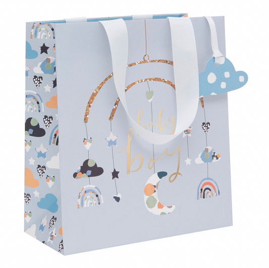 Blue Baby Boy Gift Bag